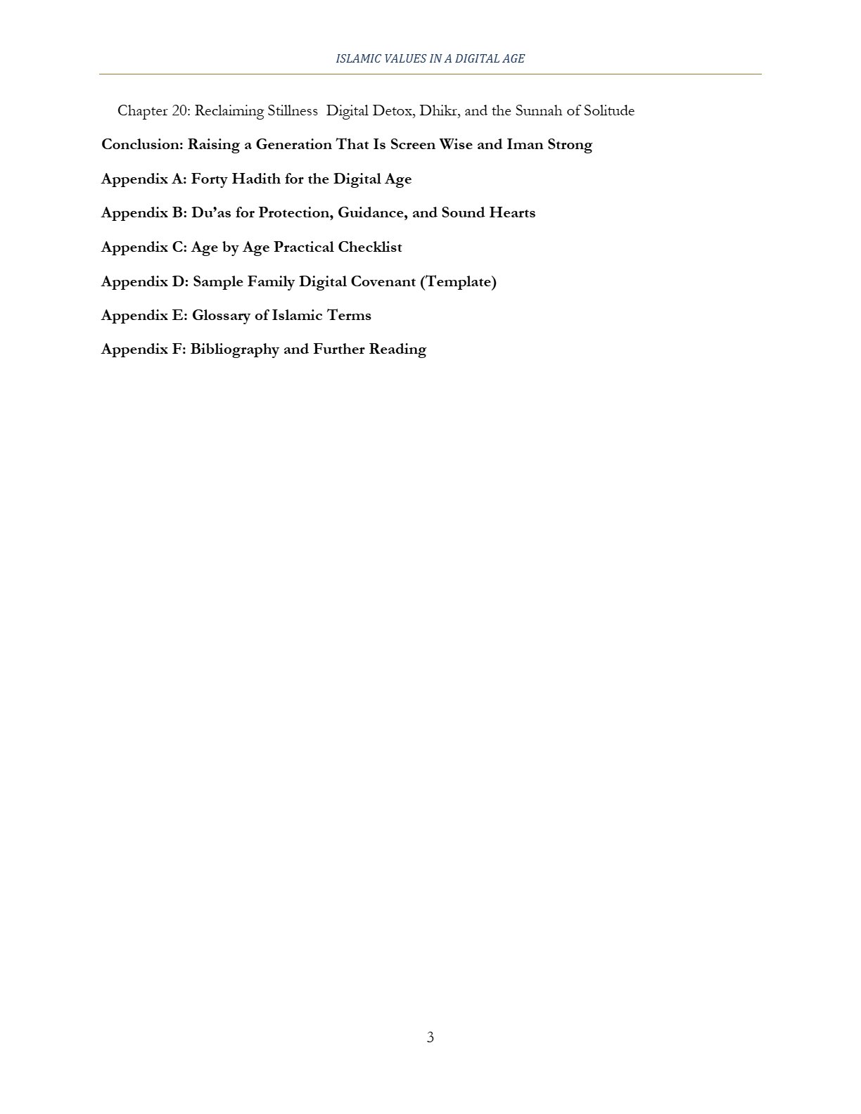 Page 3 of Islamic values in a digital Age
